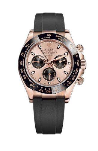 Cosmograph Daytona Everose / Cerachrom / Pink / Oysterflex