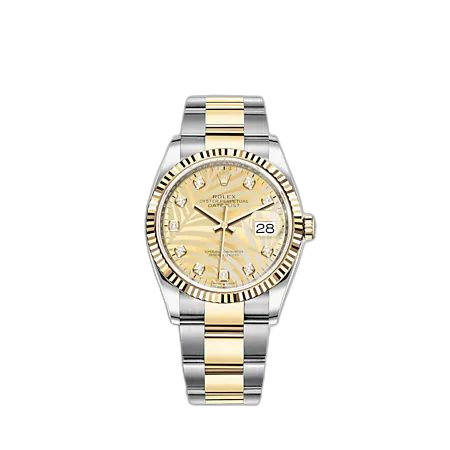 Datejust 36 Stainless Steel - Yellow Gold - Fluted / Champagne - Palm - Diamond / Oyster