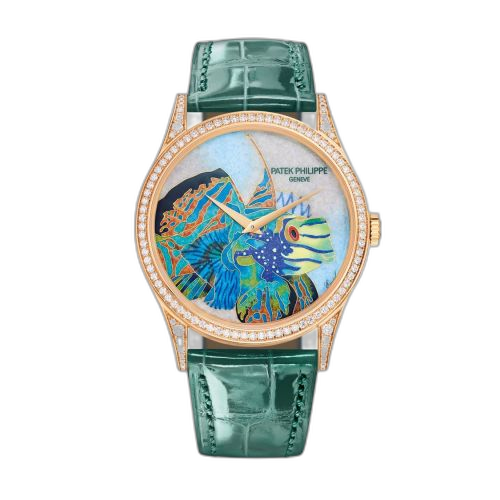 Calatrava 5077R Tropical Fish