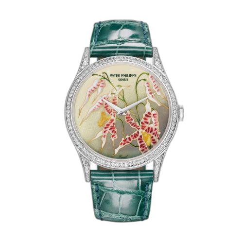 Calatrava 5077 White Gold / Diamond / Orchids