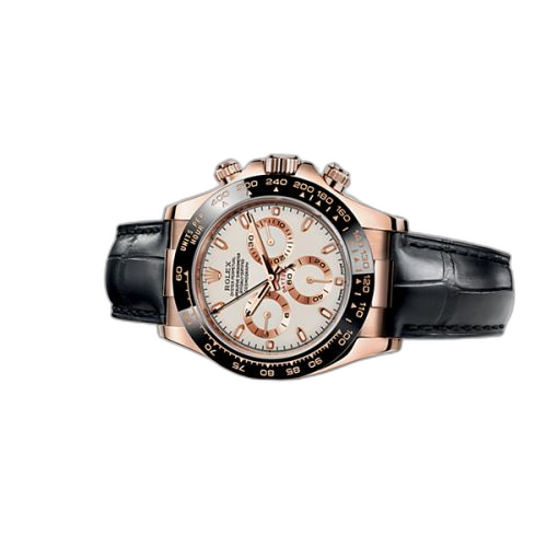 Cosmograph Daytona Everose / Cerachrom / Ivory