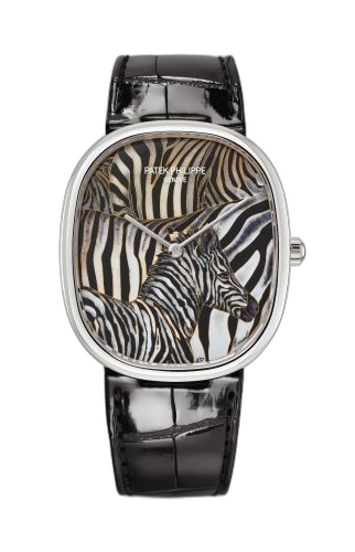 Golden Ellipse 5738 Zebra