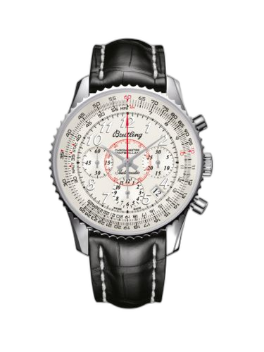 Montbrillant 01 Stainless Steel / Mercury Silver / Croco