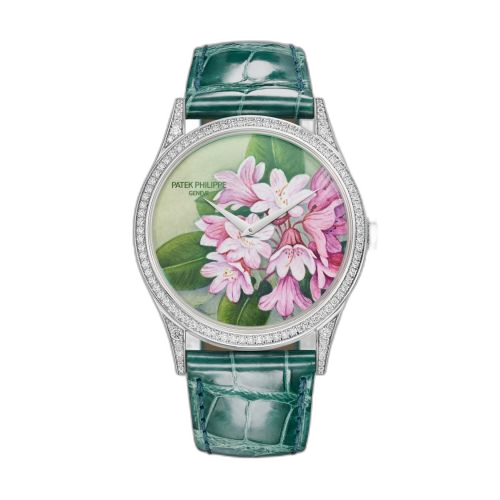 Calatrava 5077 White Gold / Portrait of Flowers