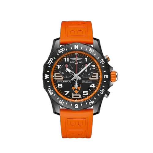 Endurance Pro Princeton University