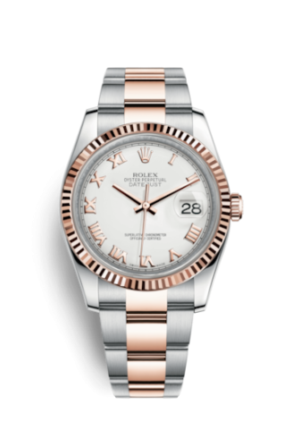 [116231-0092] Datejust 36 Rolesor Everose Fluted / Oyster / White Roman