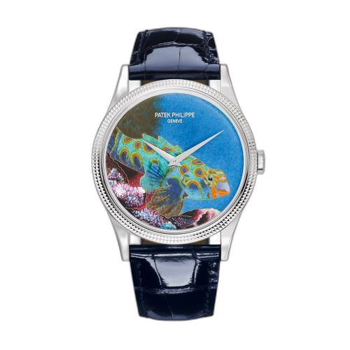 [5177G-013] Calatrava 5177G Italian Scenes / Tropical Fish
