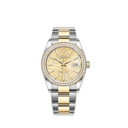 [126283RBR-0024] Datejust 36 Stainless Steel / Yellow Gold / Diamond / Champagne - Palm / Oyster