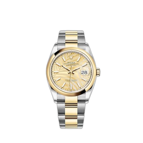 [126203-0038] Datejust 36 Stainless Steel / Yellow Gold / Smooth / Golden Palm / Oyster