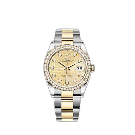 [126283RBR-0030] Datejust 36 Stainless Steel - Yellow Gold - Diamond / Champagne - Palm - Diamond / Oyster