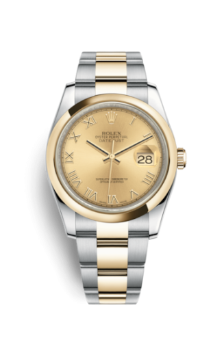 [116203-0128] Datejust 36 Rolesor Yellow Domed / Oyster / Champagne Roman