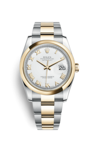 [116203-0135] Datejust 36 Rolesor Yellow Domed / Oyster / White Roman