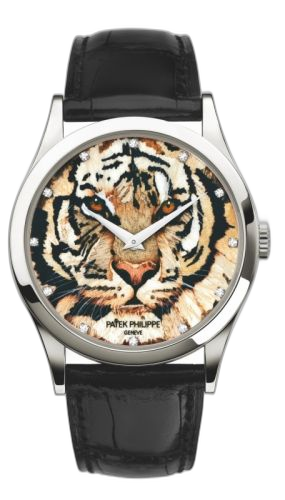 [5077P-065] Calatrava 5077 Royal Tigers