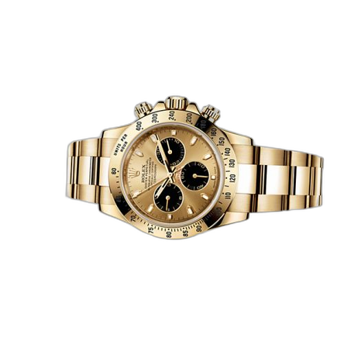 [116528-0041] Daytona Yellow Gold Black Eye