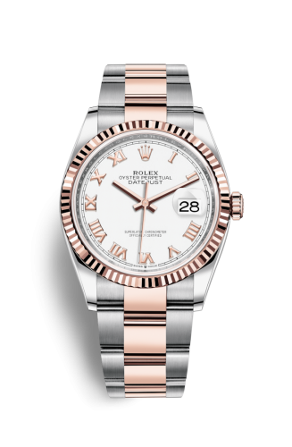 [126231-0016] Datejust 36 Stainless Steel / Everose / Fluted / White Roman / Oyster