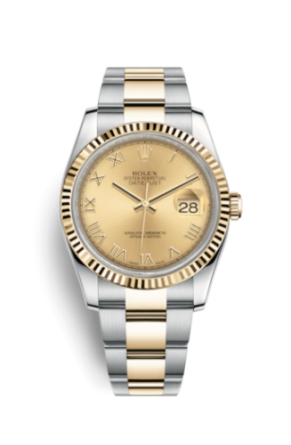 [116233-0193] Datejust 36 Rolesor Yellow Fluted / Oyster / Champagne Roman