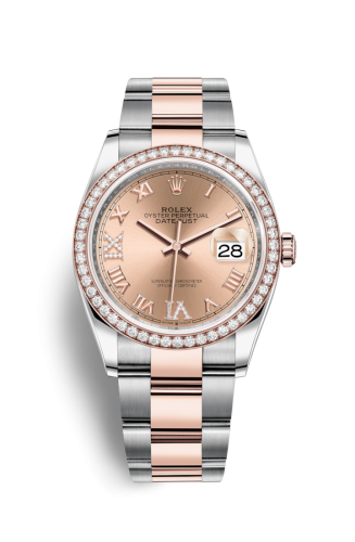 [126281RBR-0016] Datejust 36 Stainless Steel / Everose / Diamond / Rose Roman Diamond / Oyster