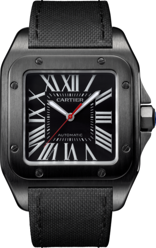 [WSSA0006] Santos 100 41.3 Carbon