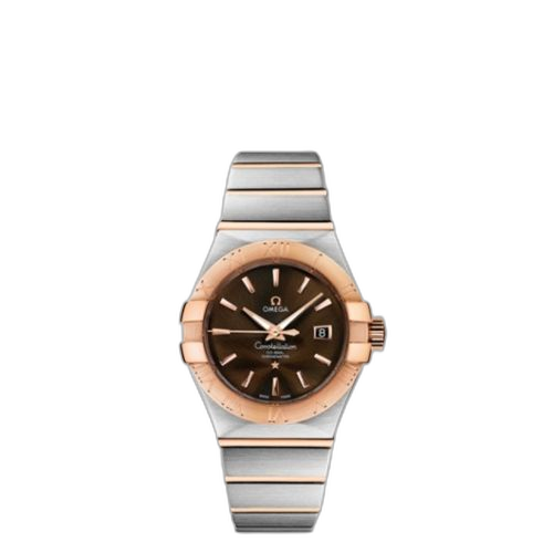 [123.20.31.20.13.001 (aka: 12320312013001)] Constellation Co-Axial 31 Stainless Steel / Red Gold / Brown