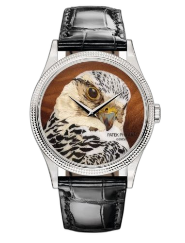 [5177G-024] Calatrava 5177G Falcon Head