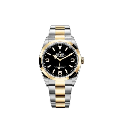 [124273-0001 (aka: m124273-0001)] Explorer 36 Stainless Steel / Yellow Gold