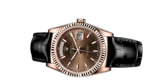 [118135-0019] Day-Date 36 Everose / Strap / Chocolate